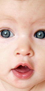 baby